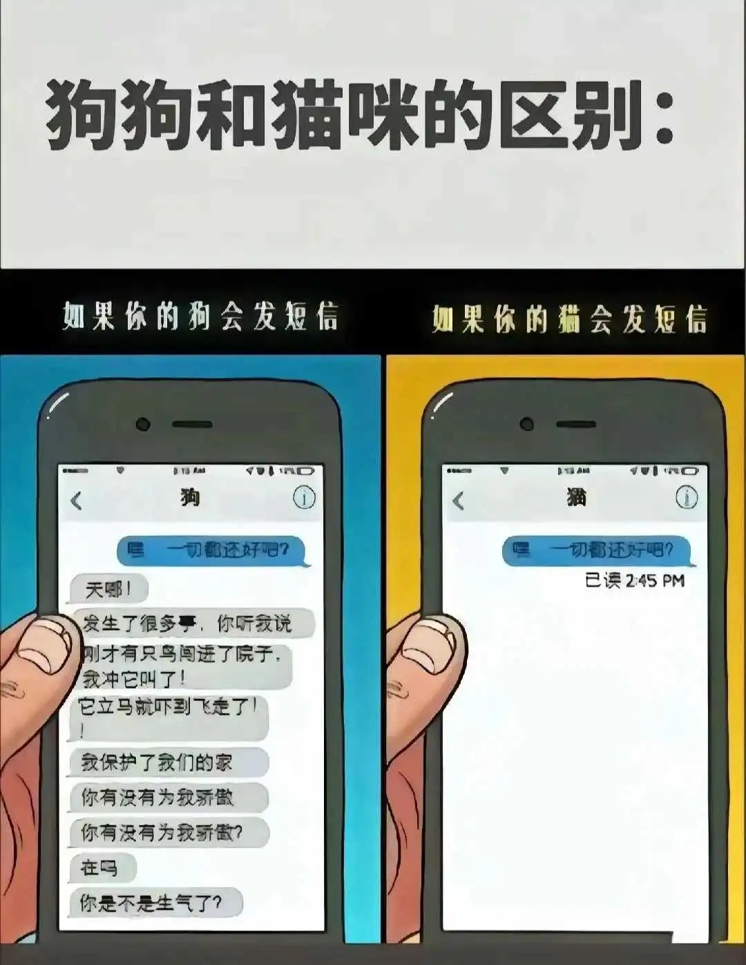西檬之家K9犬系究竟是什么?你了解这种独特的属性吗? 一