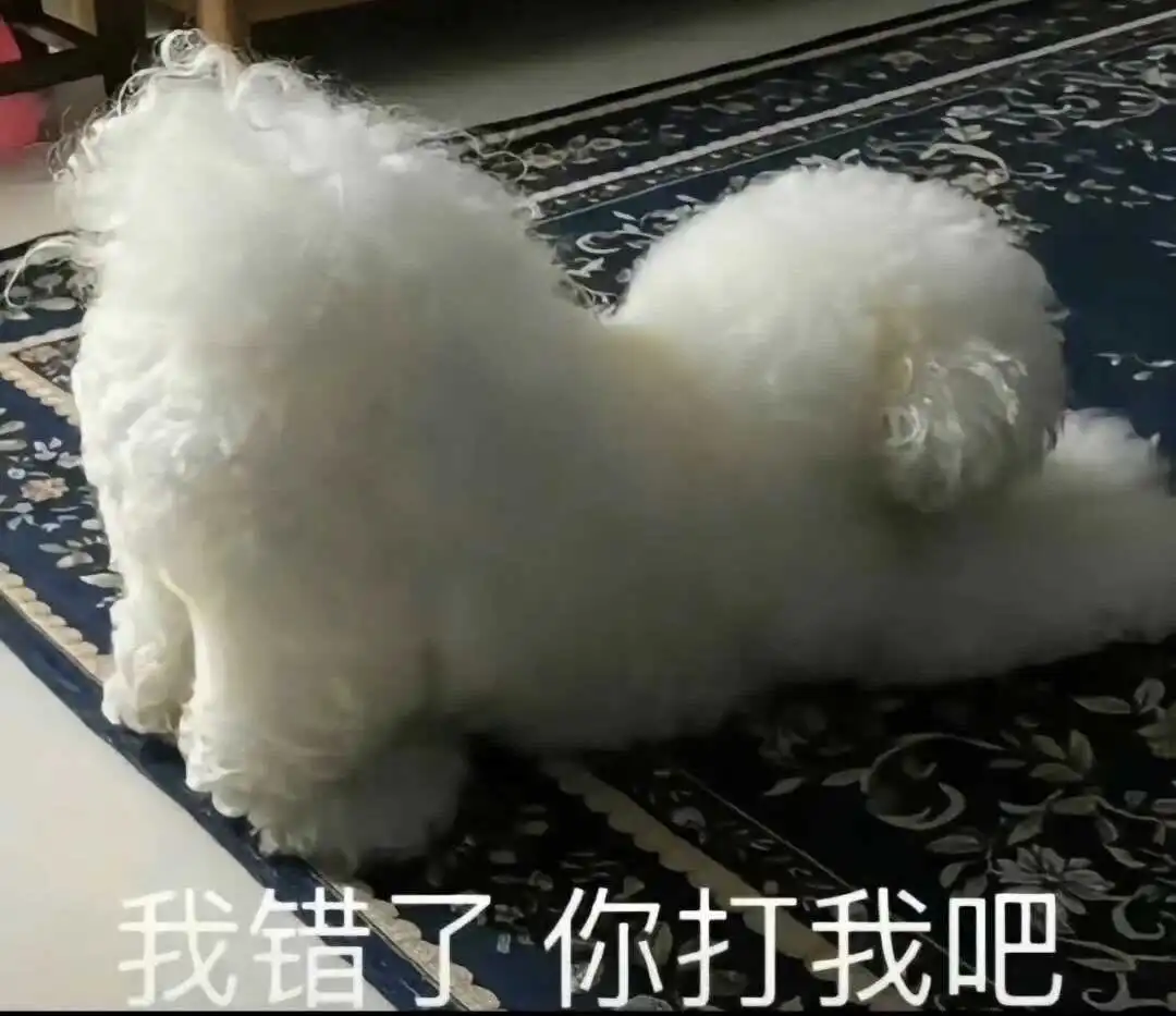 西檬之家k8是什么?深度解析这个字母圈新趋势! 一