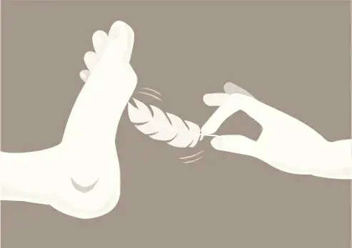 西檬之家brat属性是什么? 一