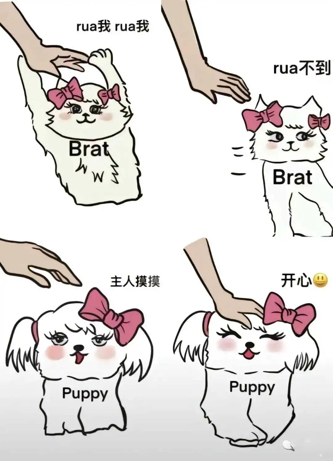 西檬之家字母圈安全词怎么设? 一