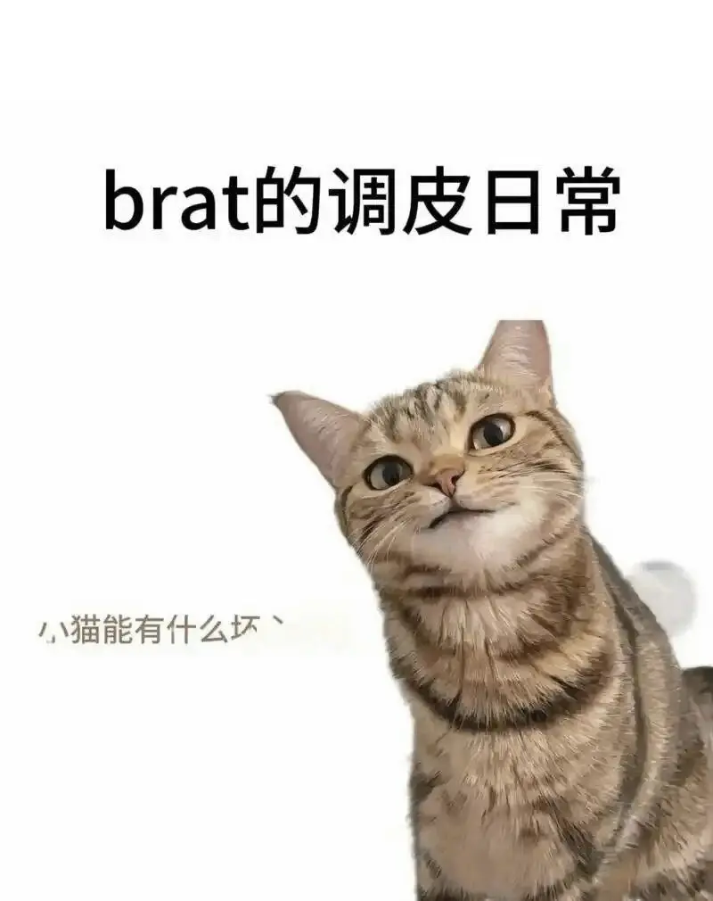 西檬之家BDSM入圈新人如何正确起步? 一