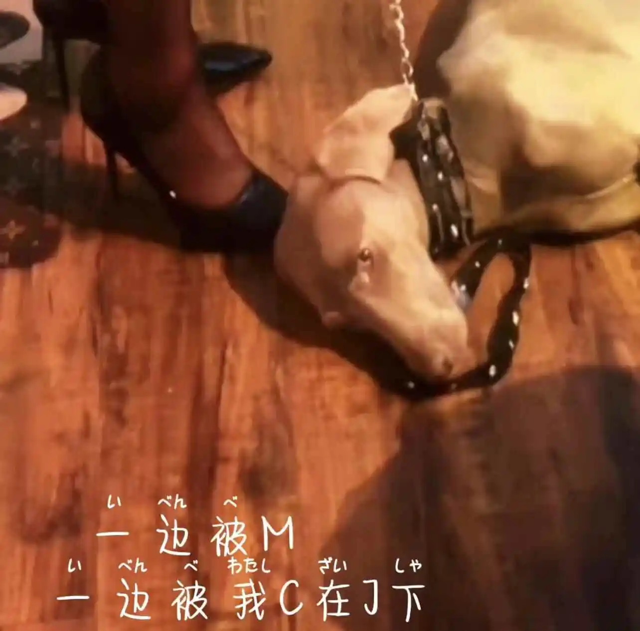 西檬之家圣水玩法新手指南 一