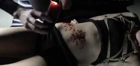 西檬之家斯慕圈是什么意思?新人如何入门 一