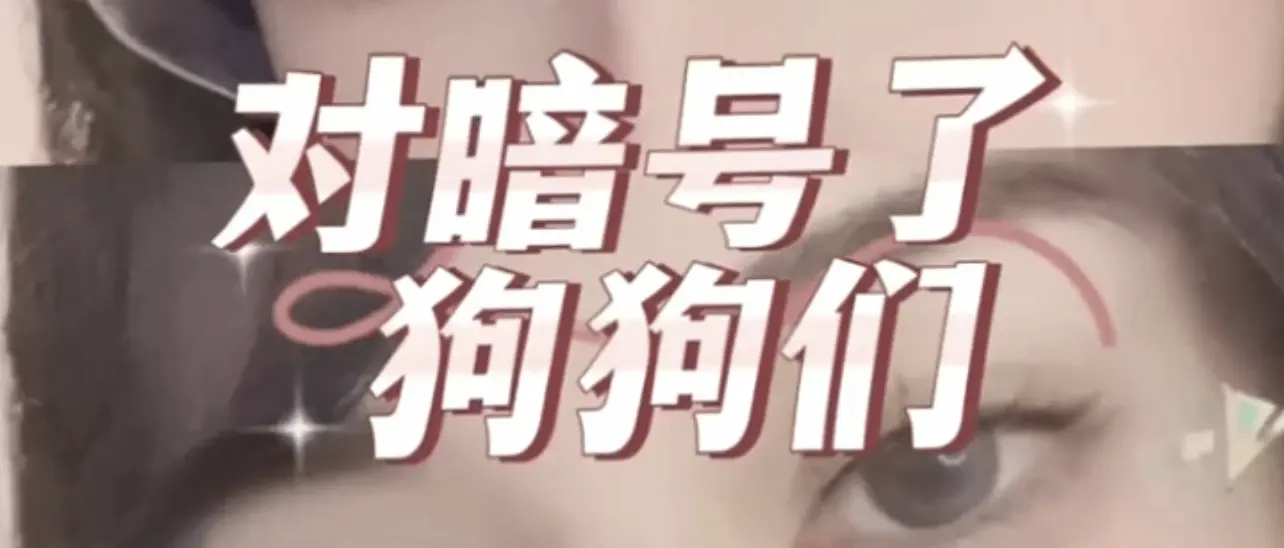 西檬之家字母圈Dirty Talk入门指南 一