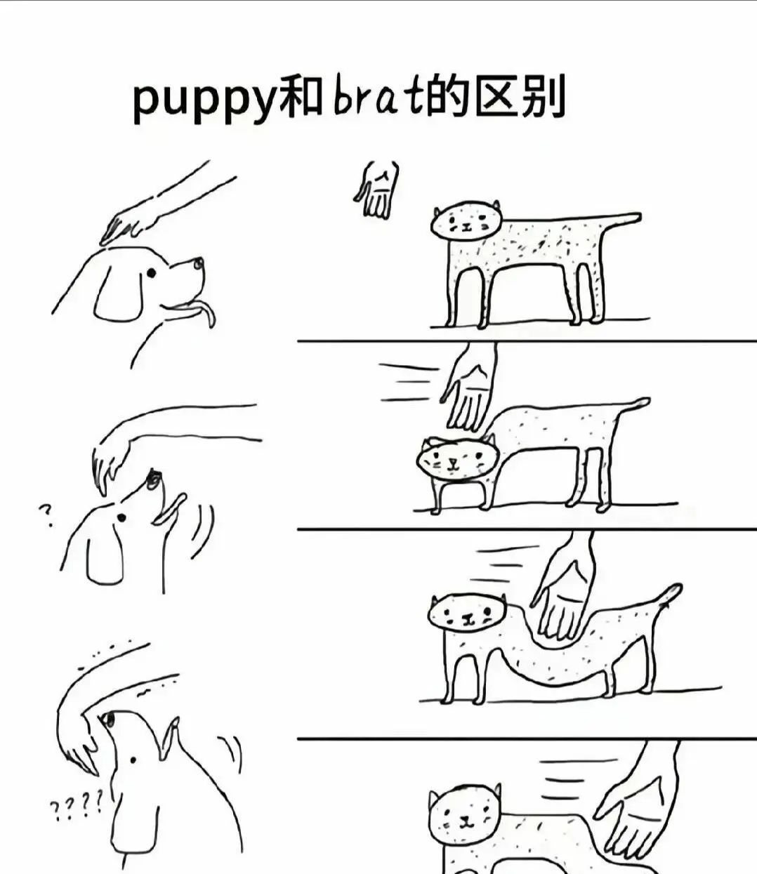 西檬之家Dirty Talk怎么玩？字母圈新人入门 一