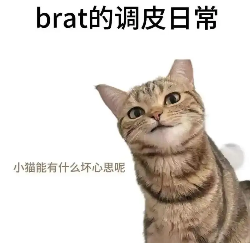 西檬之家字母圈Dom是什么意思？新人入圈 一